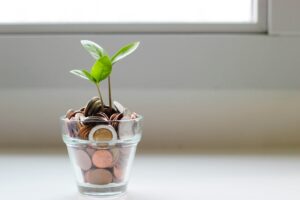 pennies, nickels, and dimes in a jar with a plant growing out.