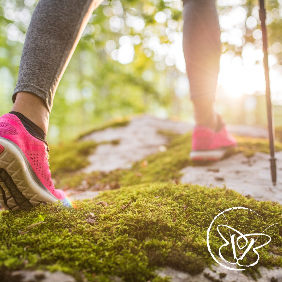 Close-up of a person wearing pink hiking shoes stepping on a mossy trail, with sunlight streaming through trees.